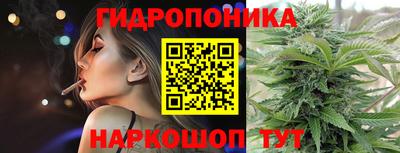 дмт Тула